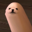 1444's avatar